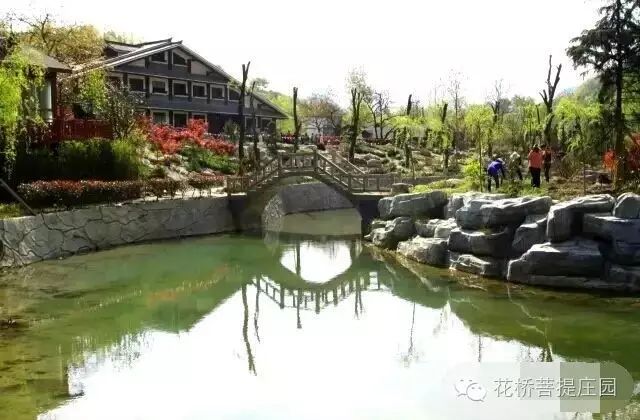 這個(gè)周末，隴南康縣花橋有大事要發(fā)生？