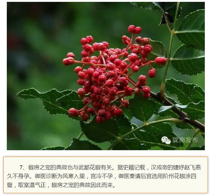 蘭渝鐵路最早由孫中山先生提出？在隴南，你不知道的事兒還有……