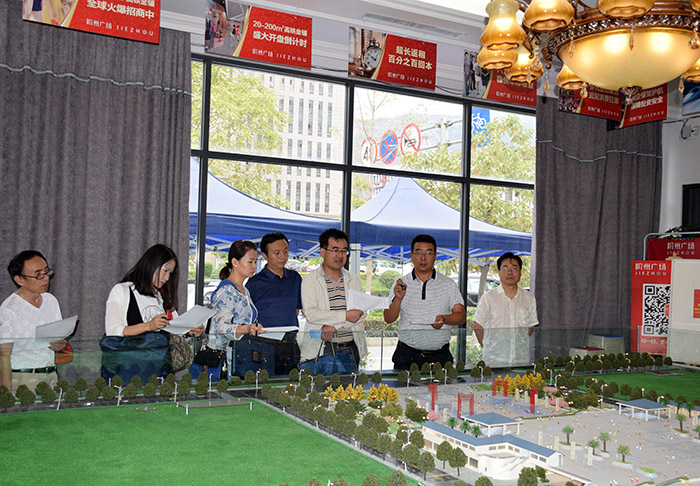 省、市聯(lián)合工作組蒞臨階州廣場檢查指導(dǎo)工作