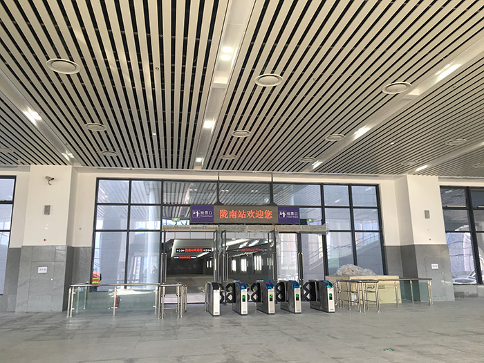 全國(guó)、省市政協(xié)委員體驗(yàn)蘭渝鐵路、視察階州廣場(chǎng)