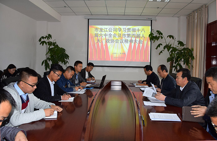 市龍江公司召開全體員工大會，專題傳達(dá)學(xué)習(xí)上級會議精神