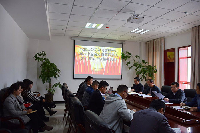 市龍江公司召開全體員工大會，專題傳達(dá)學(xué)習(xí)上級會議精神