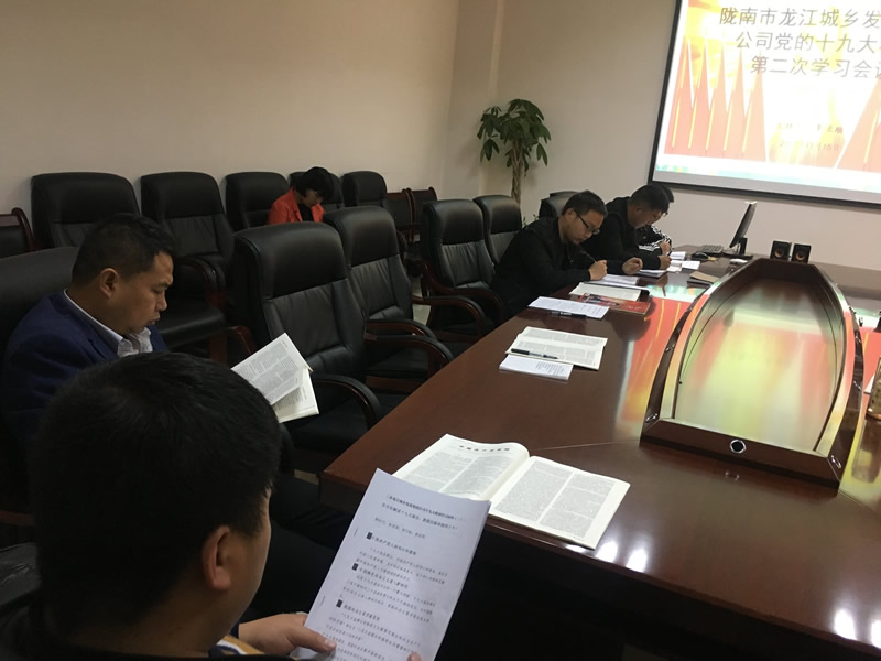 市龍江城鄉(xiāng)發(fā)展集團公司召開黨的十九大精神第二次學(xué)習(xí)會議