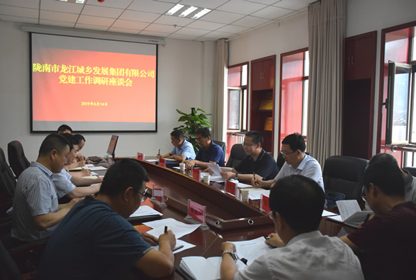 隴南市委常委、組織部部長楊郃調(diào)研指導市龍江城鄉(xiāng)發(fā)展集團公司黨建工作