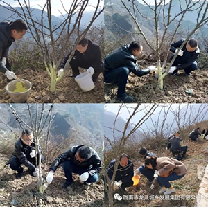 市龍江集團(tuán)在文縣橋頭鎮(zhèn)安子坡村開(kāi)展“解難題、辦實(shí)事、送溫暖”活動(dòng)