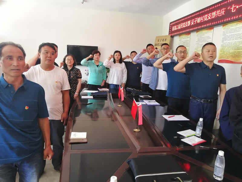 “感黨恩、憶黨史”，--市龍江城鄉(xiāng)發(fā)展集團公司開展慶祝建黨99周年主題黨日活動