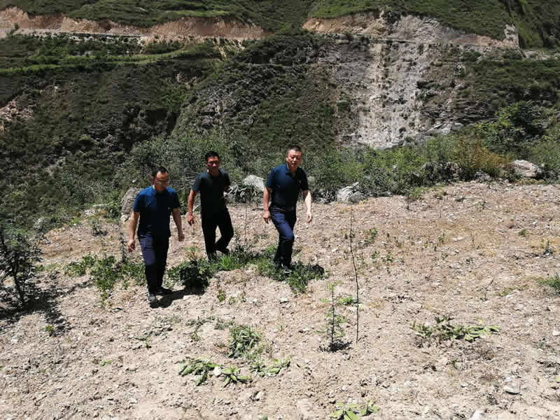 “感黨恩、憶黨史”，--市龍江城鄉(xiāng)發(fā)展集團公司開展慶祝建黨99周年主題黨日活動